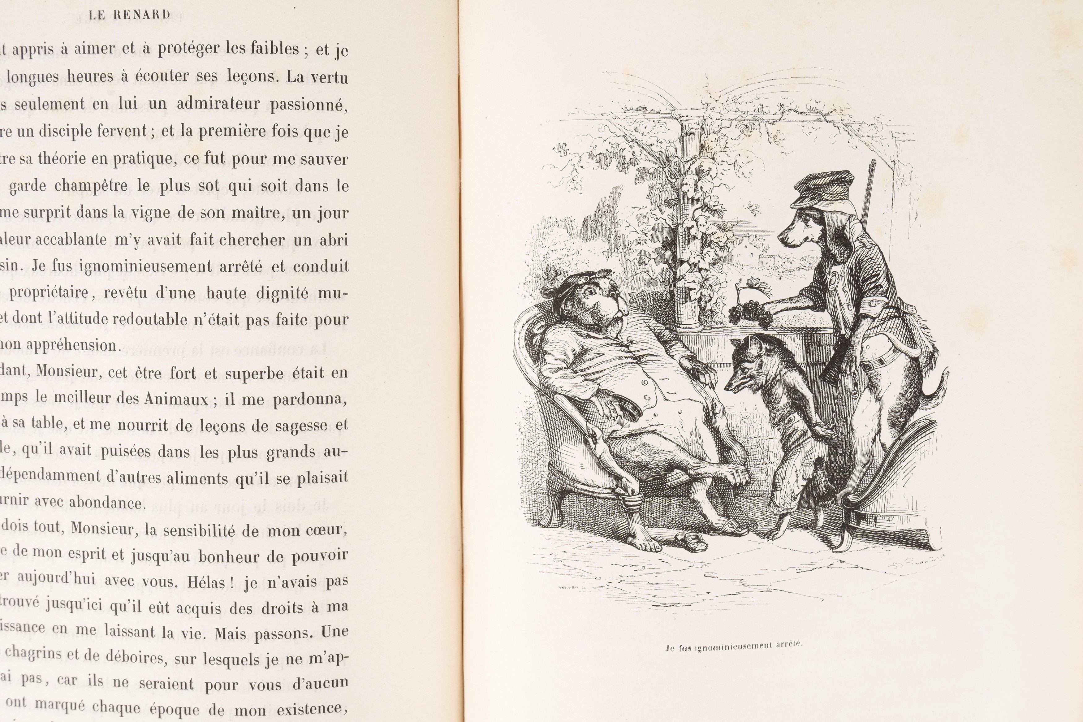 Grandville, Jean - Jacques - Scènes De la Vie Privée Et Publique Des Animax