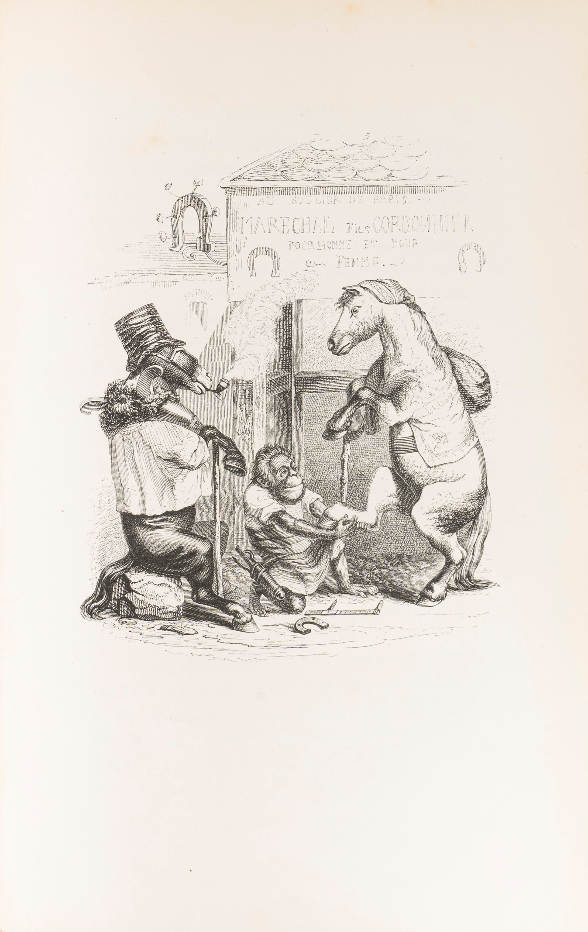 Grandville, Jean - Jacques - Scènes De la Vie Privée Et Publique Des Animax