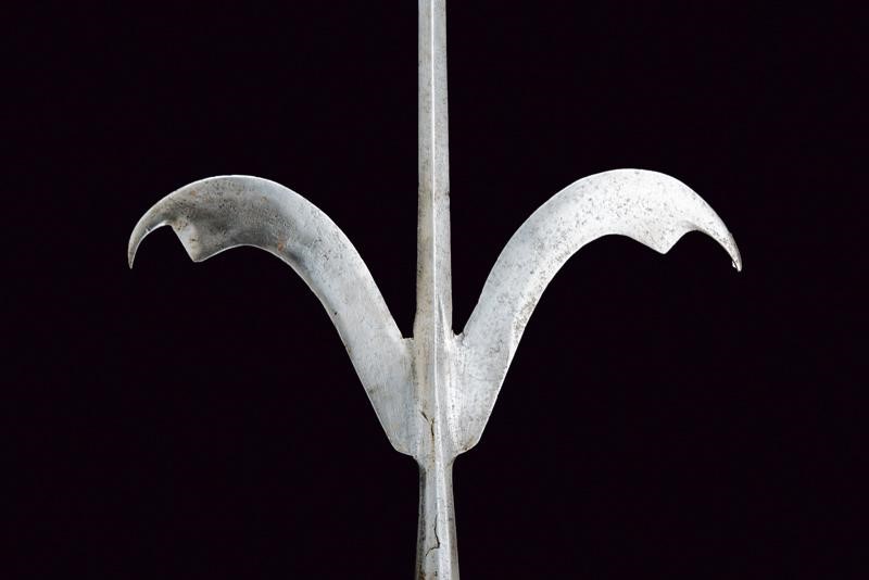 Ferro Corsesca a unghie, Italia del Nord, ultimo quarto del XVI Sec.