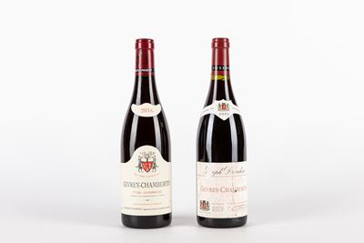 Selezione Gevrey-chambertin (2 Bt)