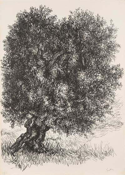 Albero