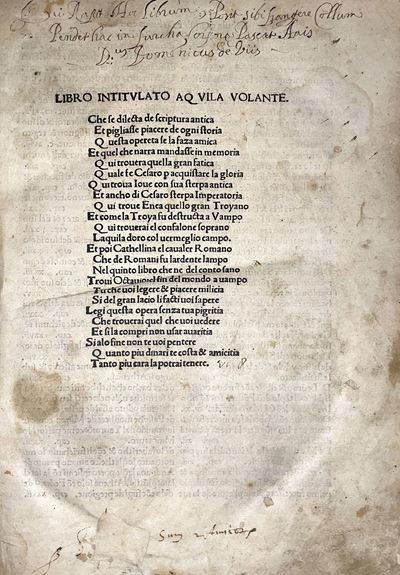 Aquila Volante