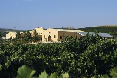 Visita privata ed esperienza enoturistica
