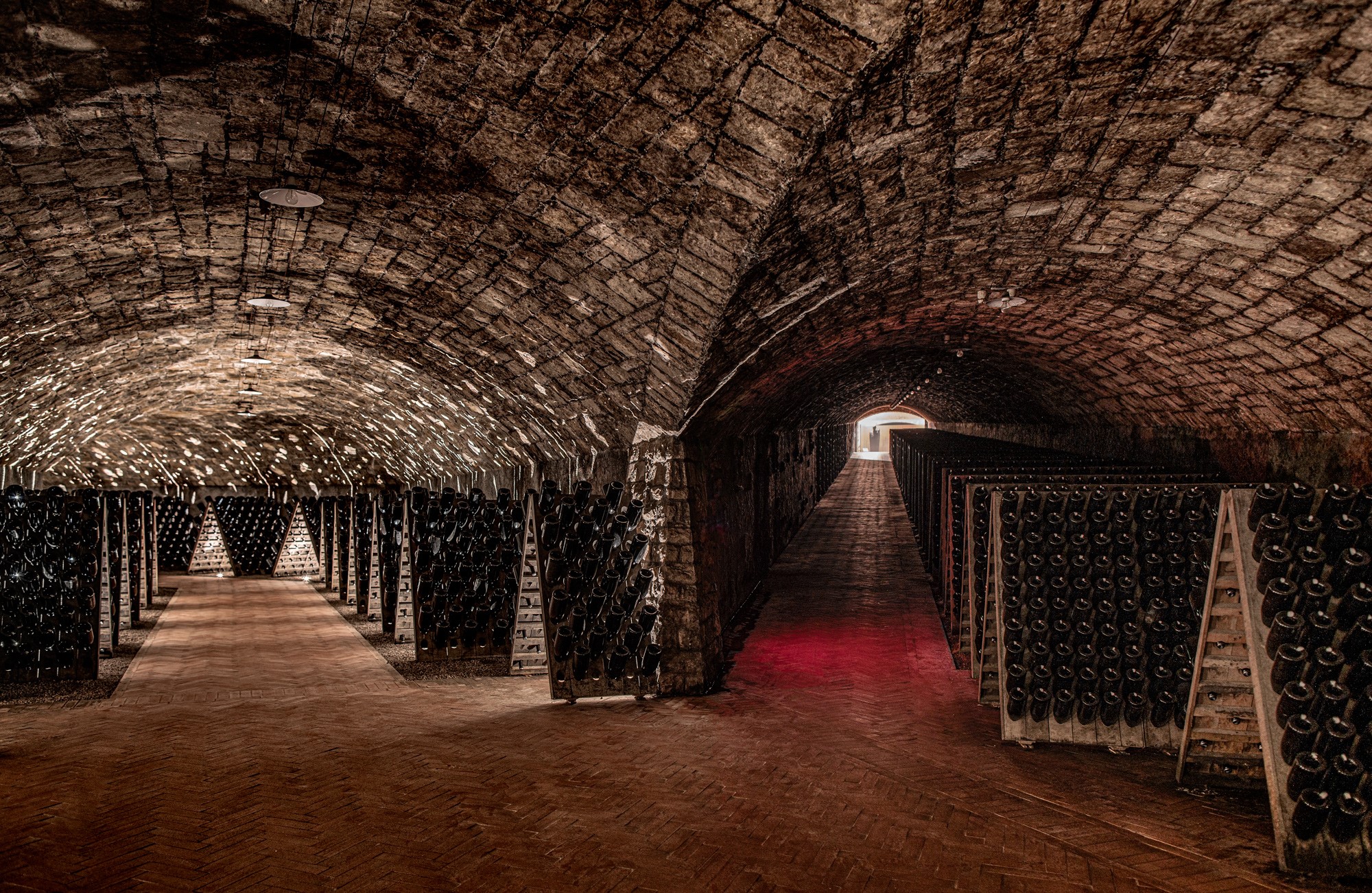 Ca' del Bosco - Esperienza guidata e visita privata a Ca’ del Bosco, Franciacorta