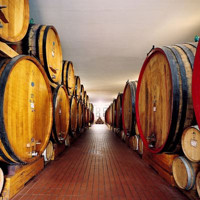 Col d’Orcia, Visita privata ed esperienza con degustazione verticale di Brunello di Montalcino