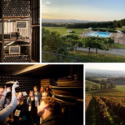 Visita privata alla Cantina di Torgiano con degustazione di Rubesco Riserva Vigna Monticchio