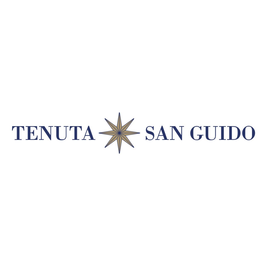 Tenuta San Guido - Sassicaia 2013 - Magnum