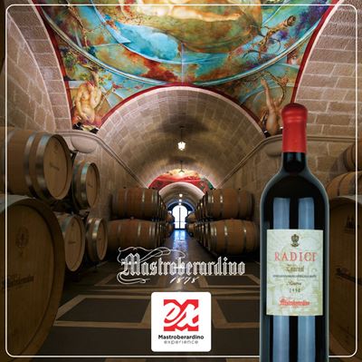 Visita privata ed esperienza alla Tenuta Mastroberardino con degustazione di vini