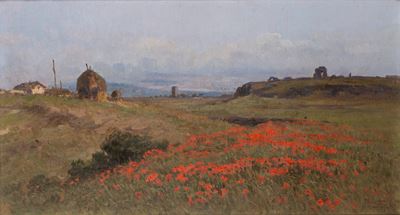Papaveri nella Campagna Romana
