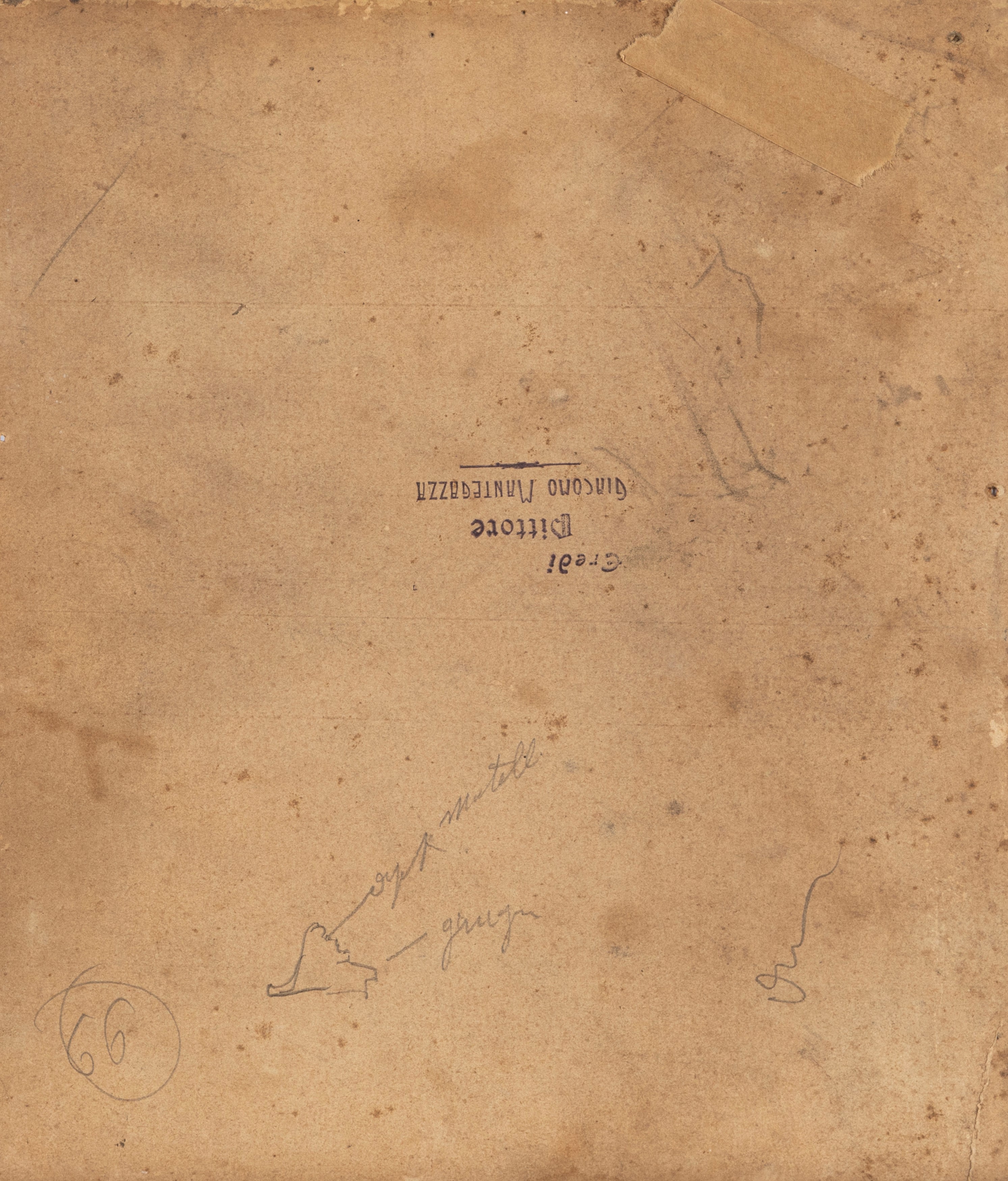 Giacomo Mantegazza - Odalisca