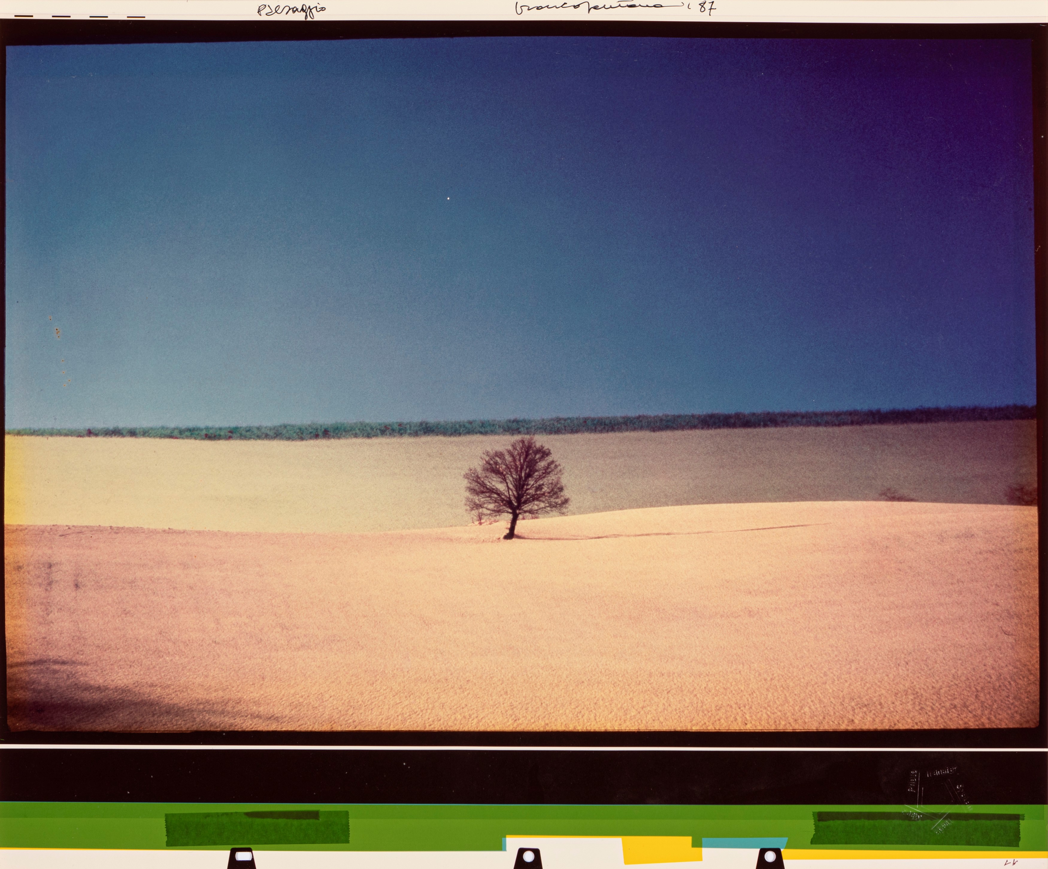 Franco Fontana - Paesaggio (puglia)