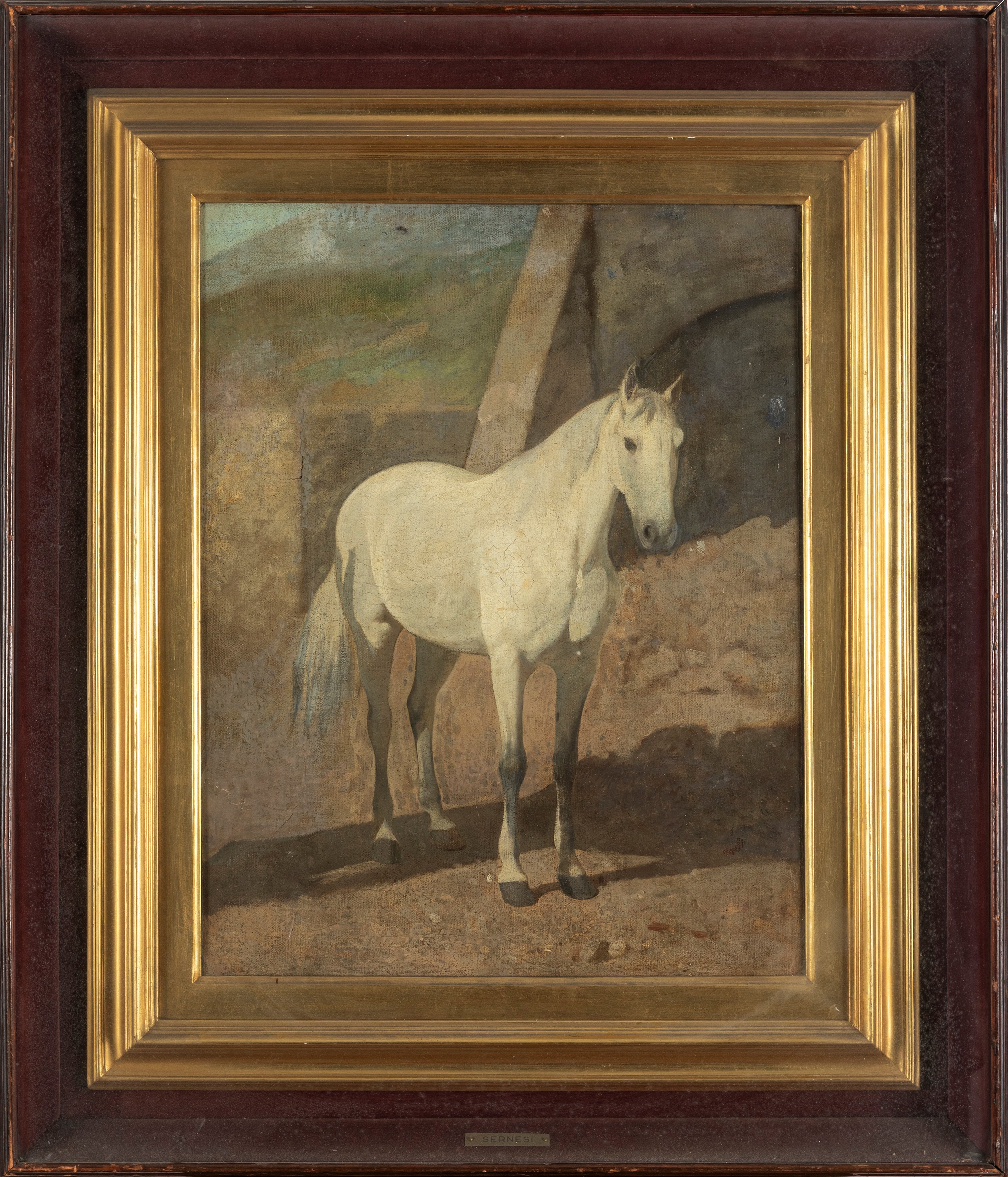 Scuola Toscana, Secolo XIX - Cavallo Bianco