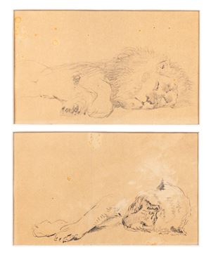Biseo Cesare - Studies of sleeping lion and lioness