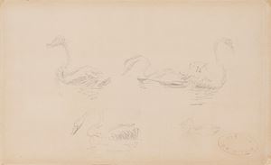 De Nittis Giuseppe - Swan study