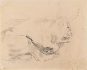 Spadini Armando - Lying ox