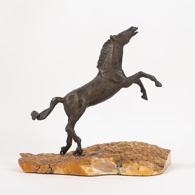 Cavallo Imbizzarrito