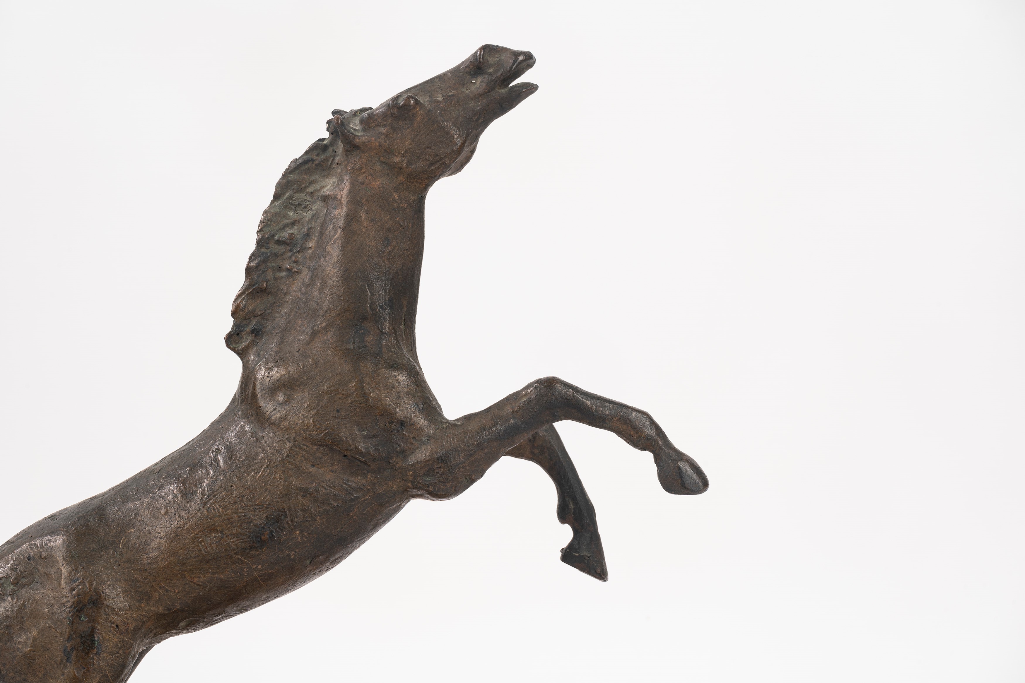 Cavallo Imbizzarrito