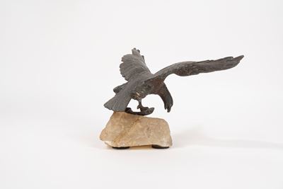 Aquila