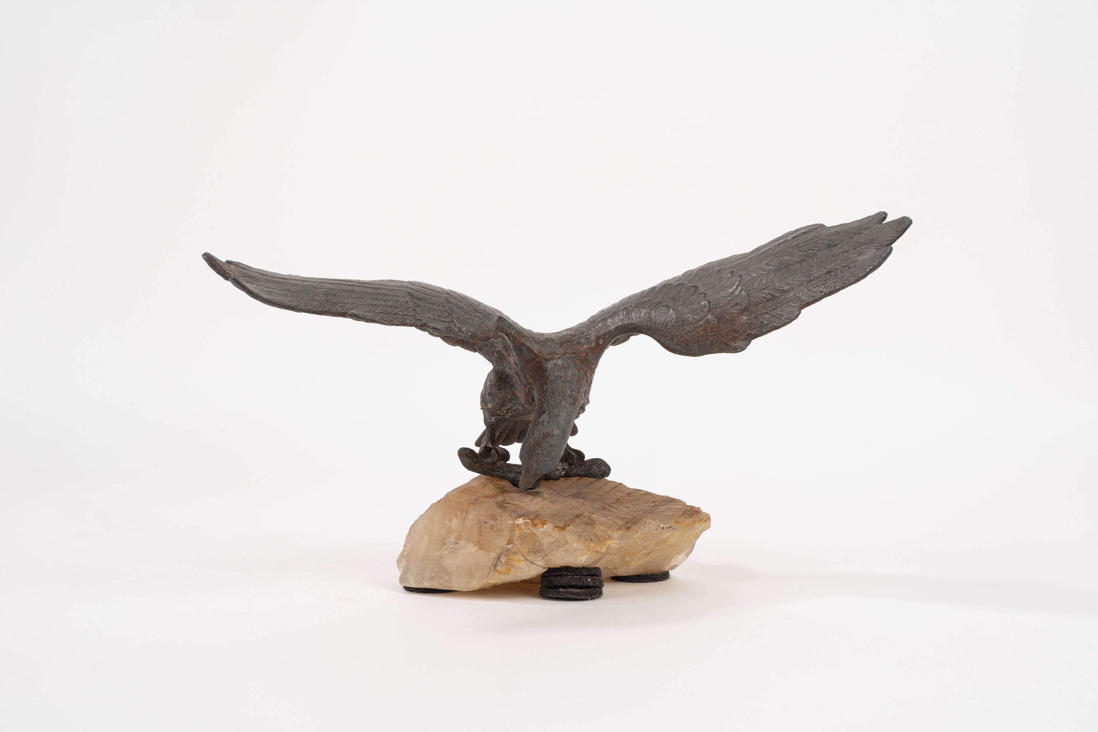 Aquila