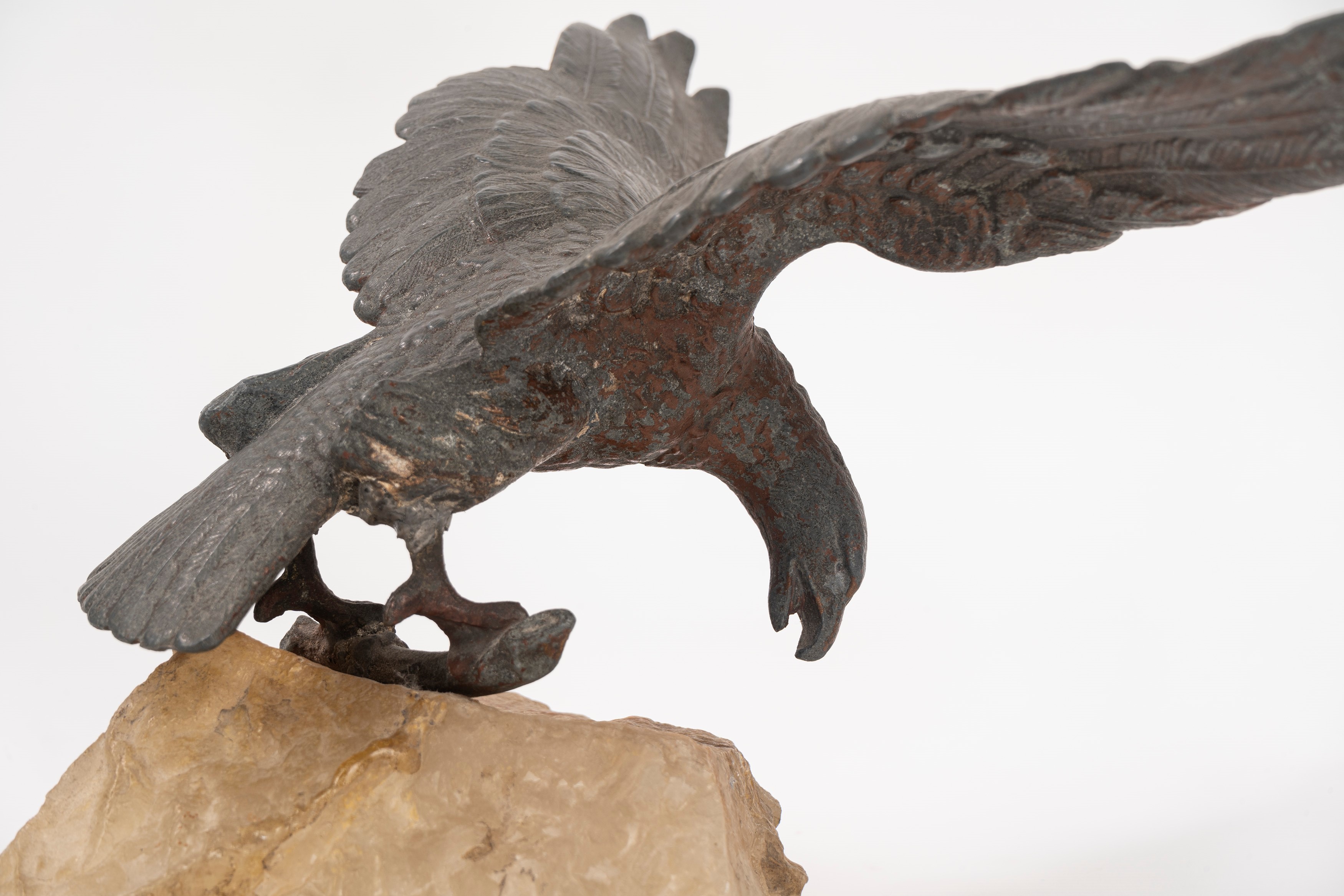 Aquila