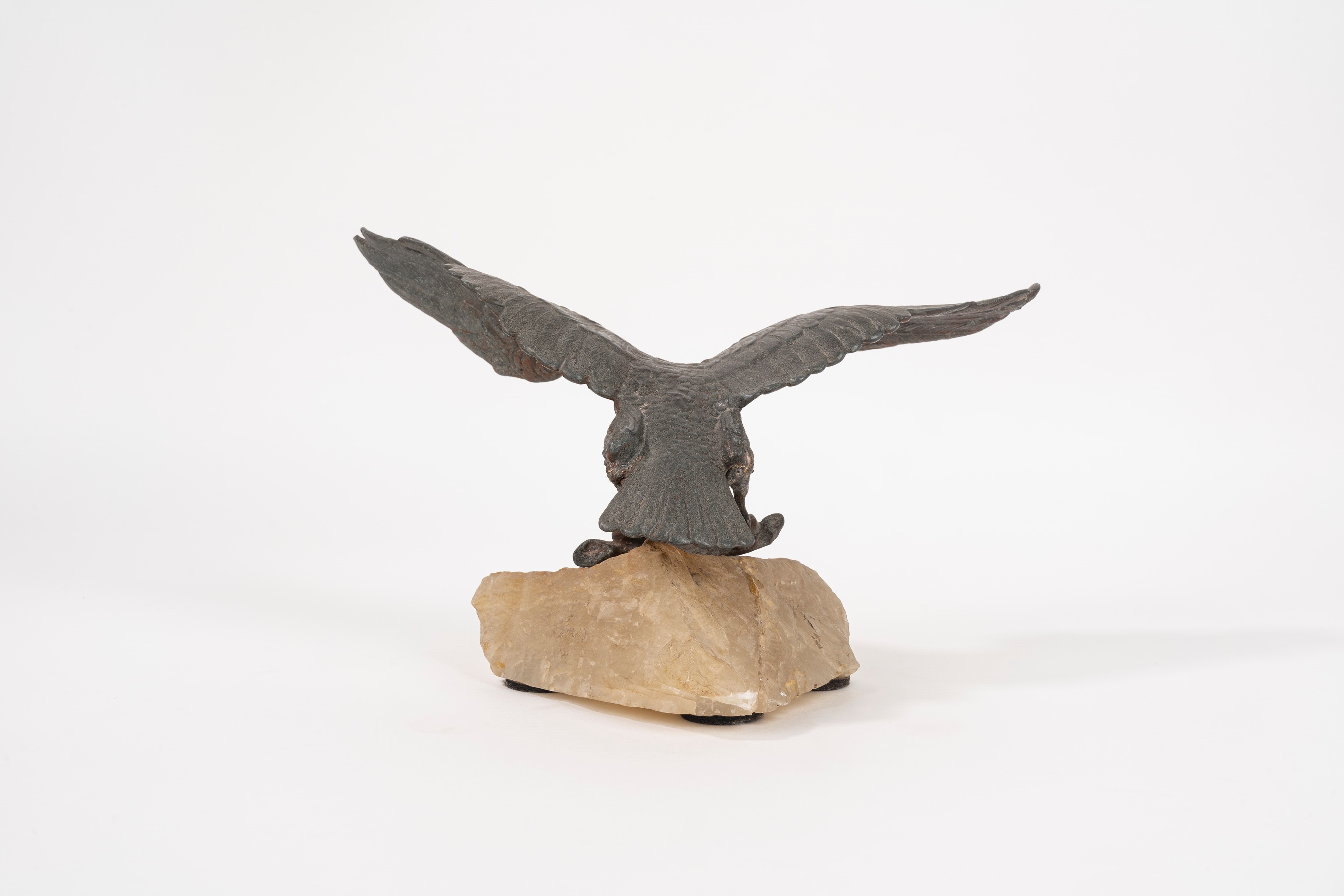 Aquila