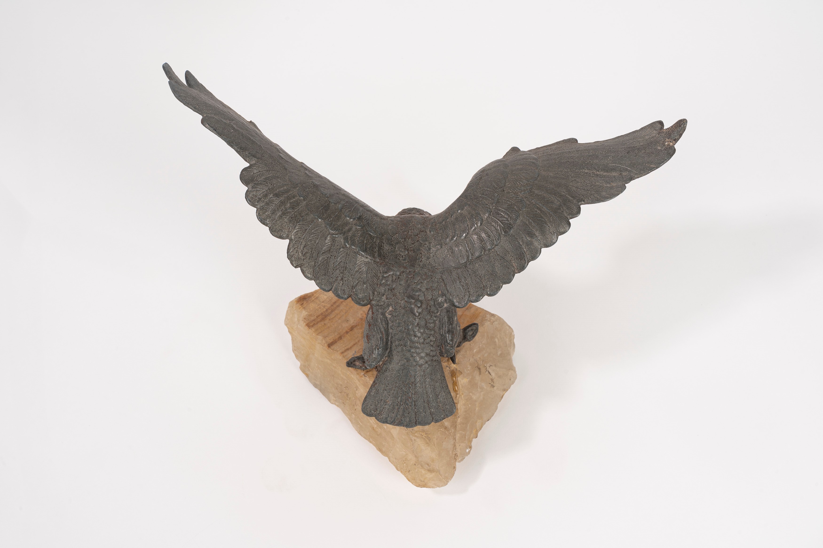 Aquila