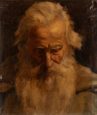 Testa Virile