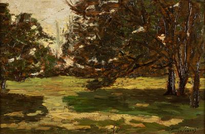 Il Parco - Giardino (studio)