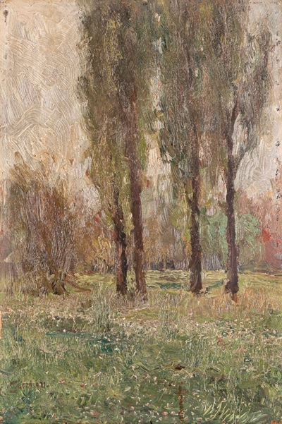 Parco a Milano