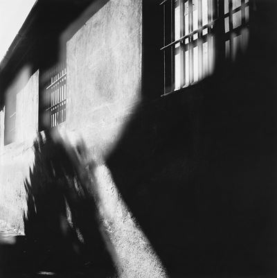 Senza titolo - Stampa al carbone, 2007