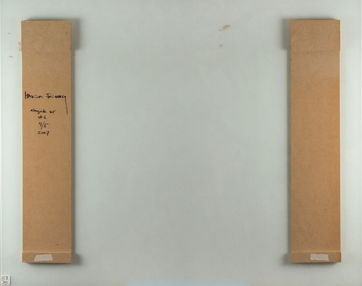 Maria Friberg - Alongside us n.6, C-print montata su dibond e vetro