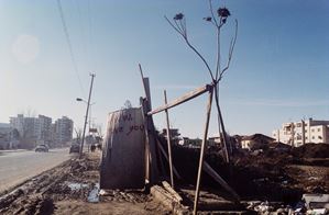 I love you, from Point of View: An Anthology of the Moving Image
