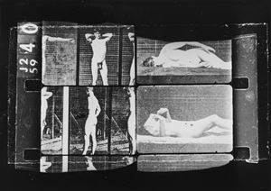 "L'assassino nudo" (Muybridge)