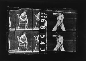 "L'assassino nudo" (Muybridge)