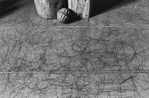 Lo studio di Morandi, Bologna