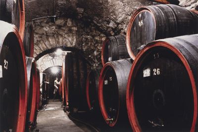 Cantina vinicola, C-print vintage su cartoncino