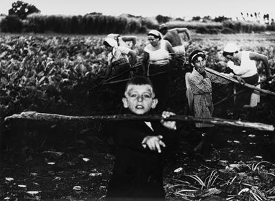 La buona terra, stampa vintage alla gelatina ai sali d'argento