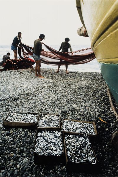 Pesci freschi, San Benedetto del Tronto (Stampa cibachrome vintage, 1997)