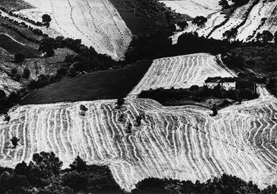Presa di Coscienza sulla Natura