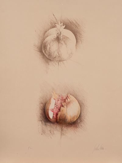 Melograno