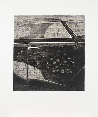 Riflessi sulla Volkswagen (fiori, Macchina e Muro)