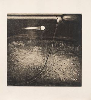 Riflessi sulla Volkswagen (Siepe nella macchina nera)