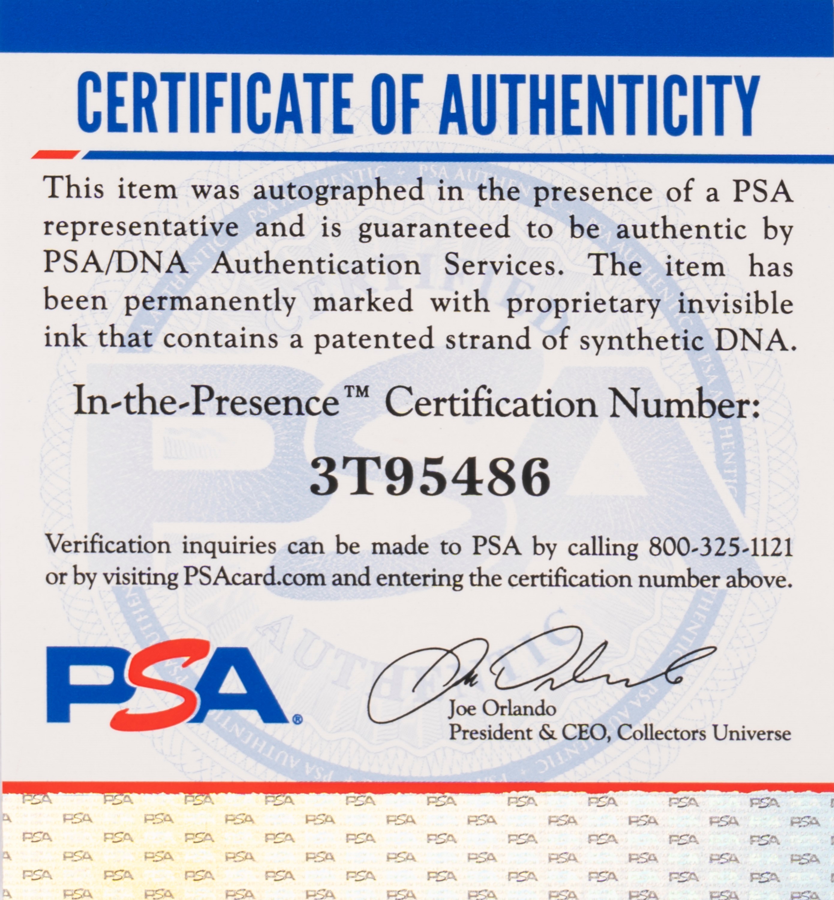 Ralph Macchio – Fascia autografata – Karate Kid – Cert. PSA/DNA