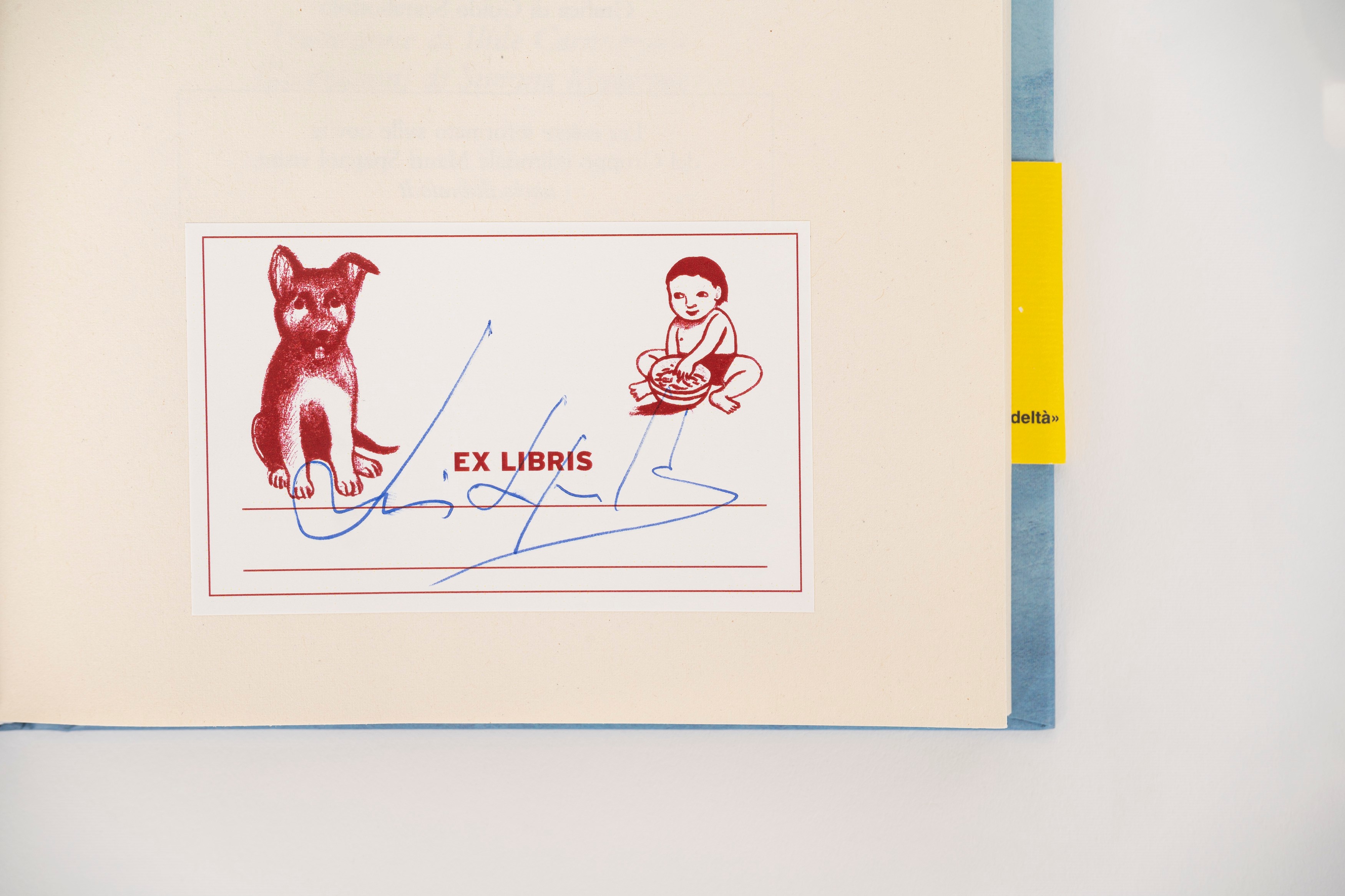 Luis Sepúlveda – Storia di un Cane che Insegnò a un Bambino la Fedeltà - Libro Autografato