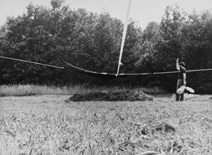 Ambiente Natura di Gilardi, Martelli, Calzolari