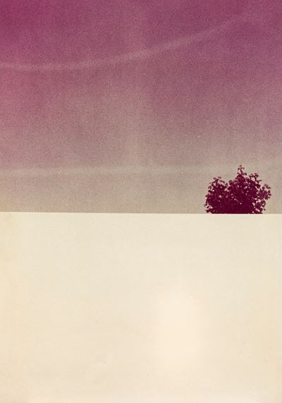 Senza Titolo (paesaggio)