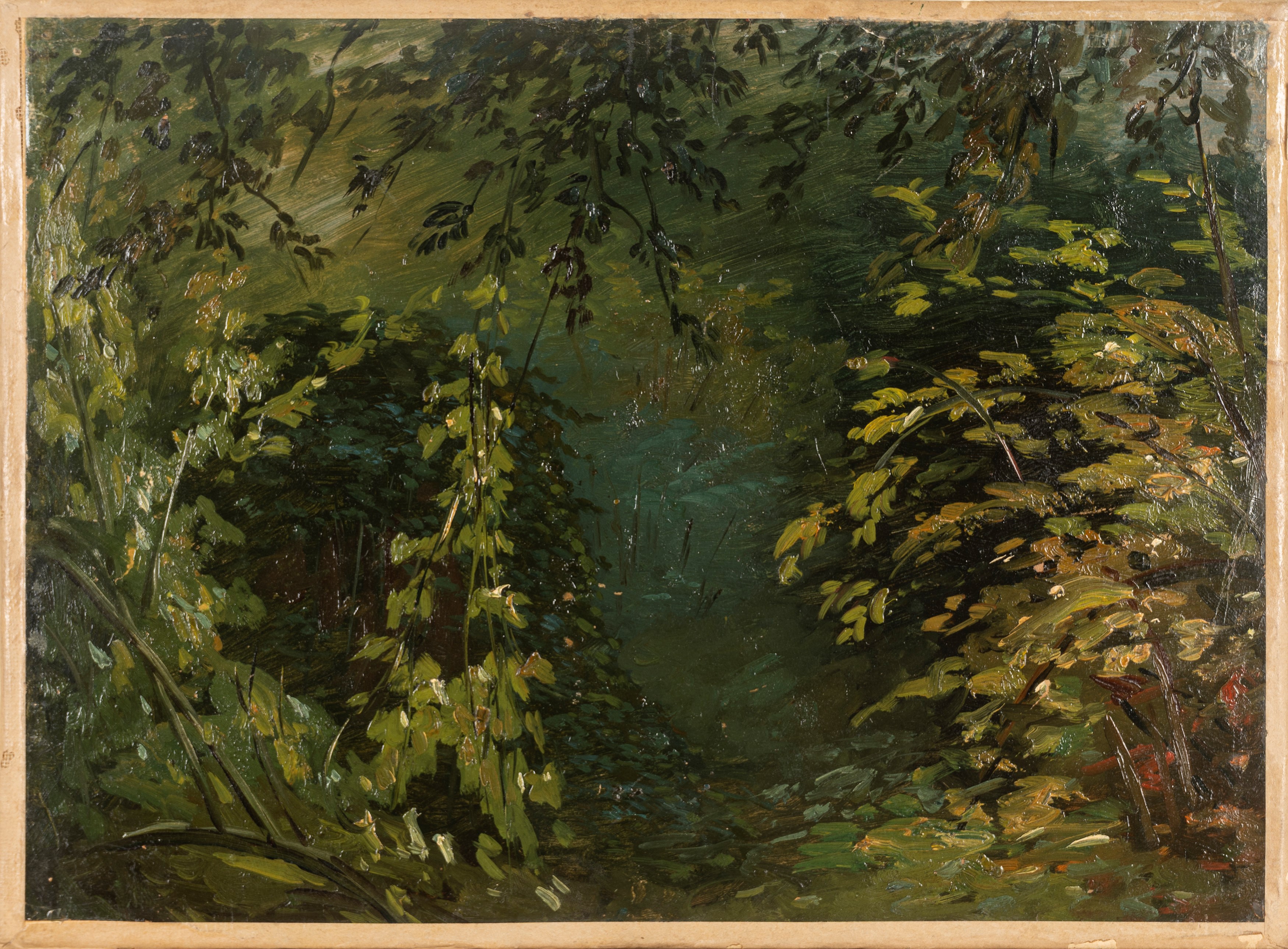 Tre dipinti raffiguranti studi di vegetazione