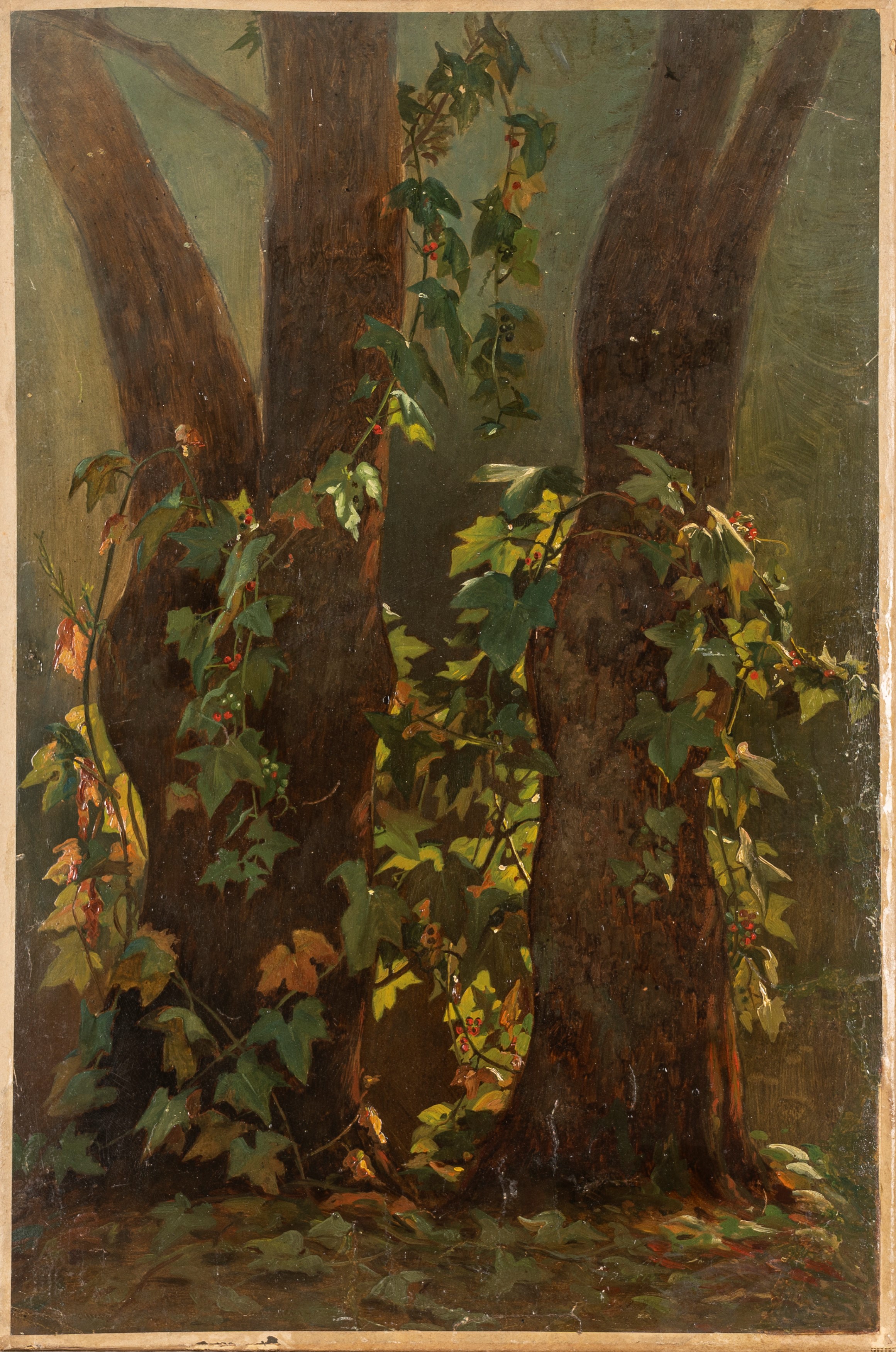 Tre dipinti raffiguranti studi di vegetazione