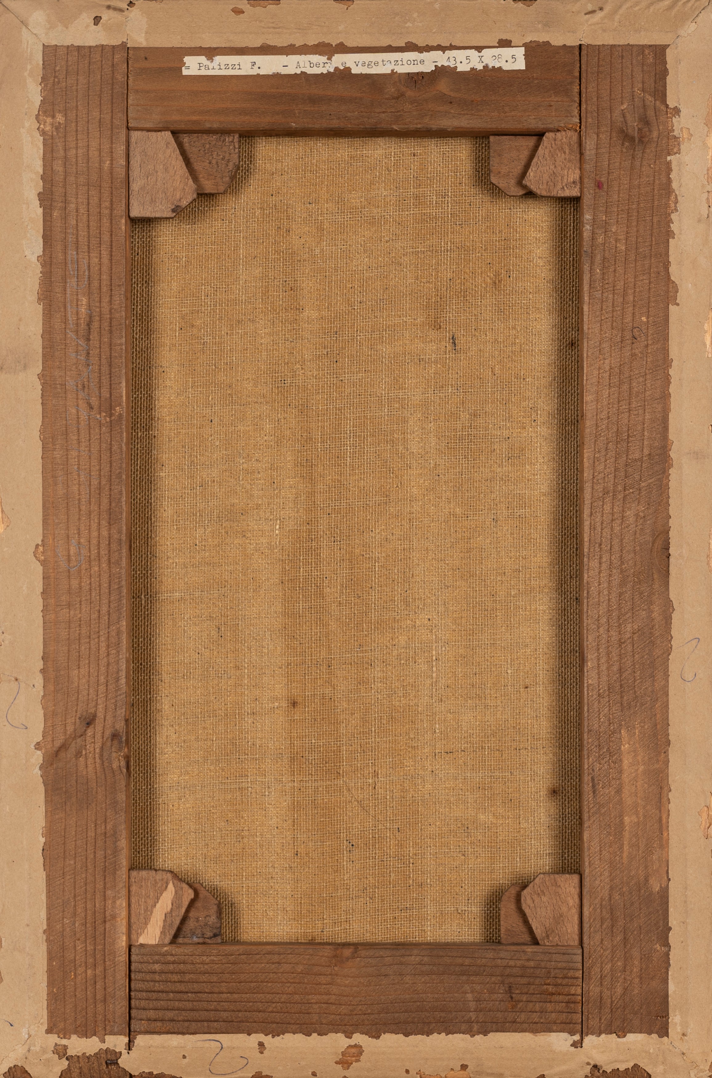 Tre dipinti raffiguranti studi di vegetazione