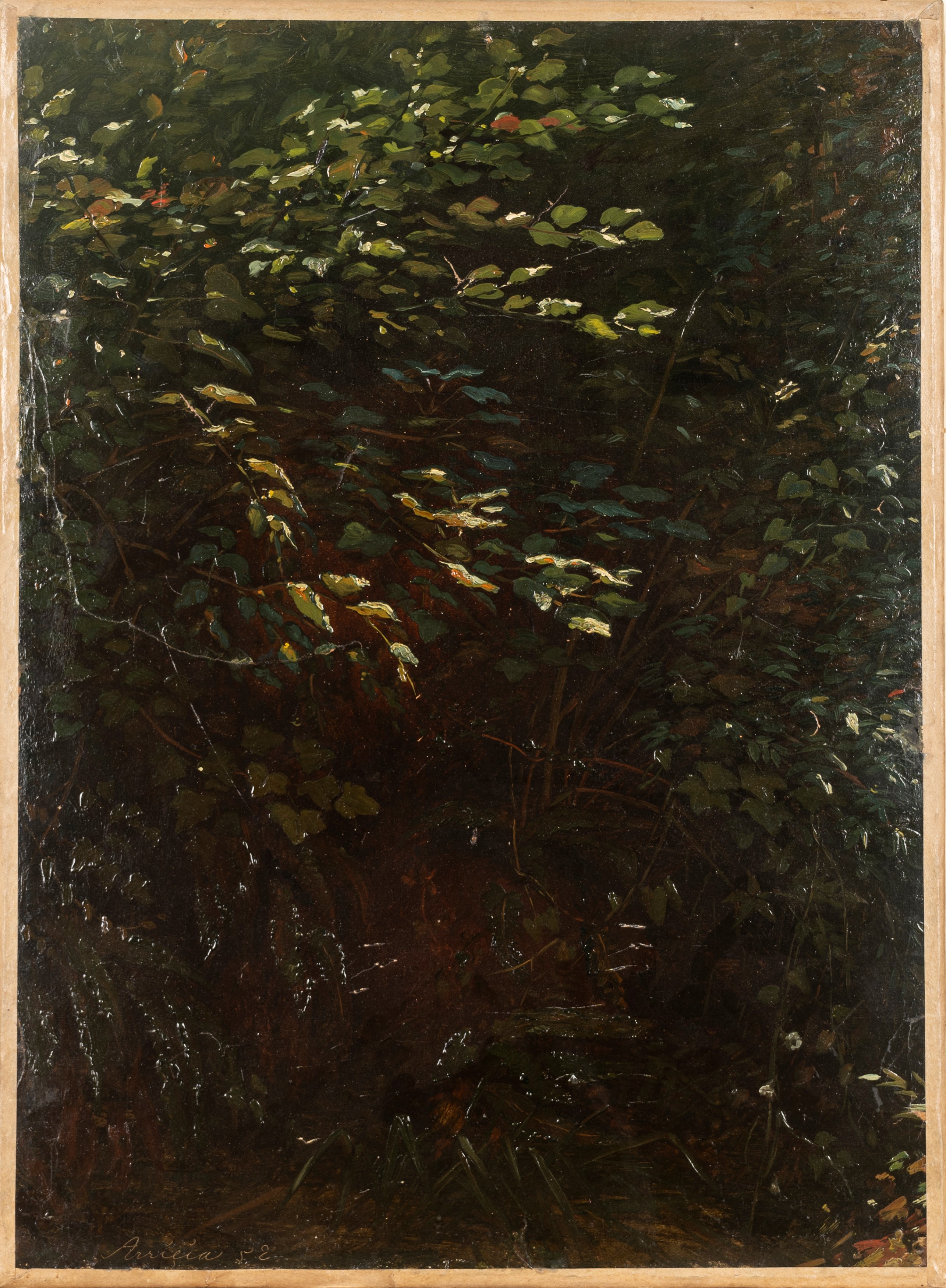 Tre dipinti raffiguranti studi di vegetazione